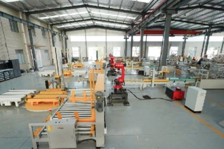 Solution for packing and palletizing 05